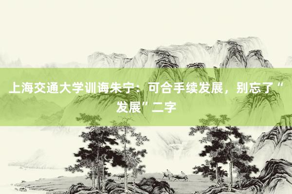上海交通大学训诲朱宁：可合手续发展，别忘了“发展”二字